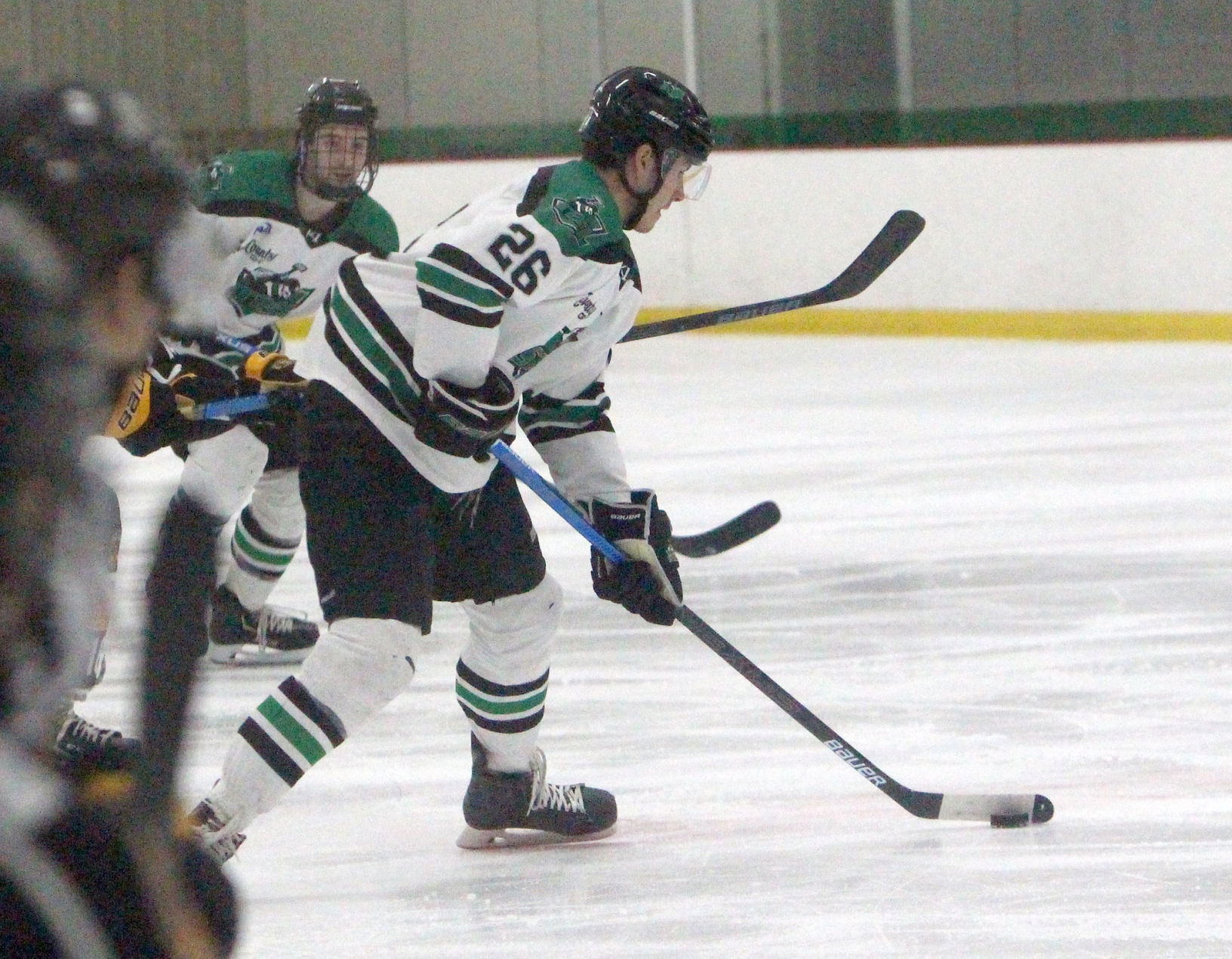 Austin Bruins at Chippewa Steel 1-25-20